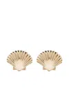Mateo 14kt Yellow Gold Small Venus Shell Earrings In Gold