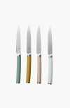 Material Matte Stainless Steel Set Of 4 Table Knives And Holder In Willow