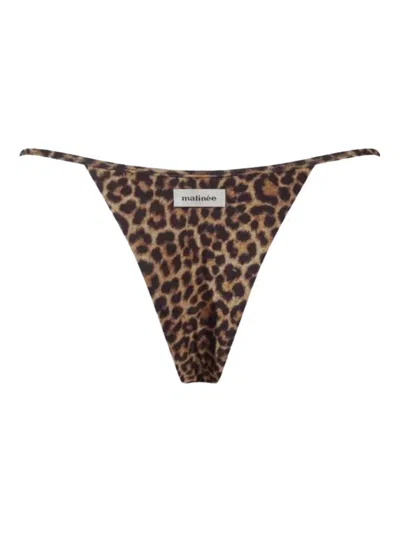 Matinee Ambre Bikini Bottoms In Animal Print