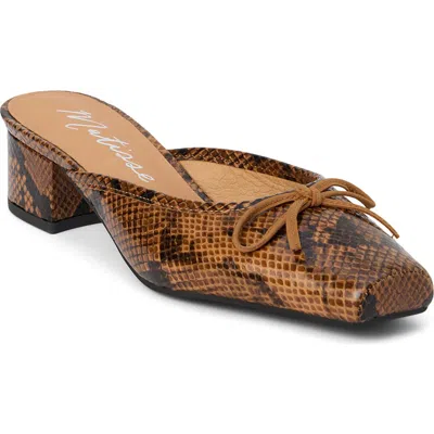 Matisse Basilio Mule In Brown