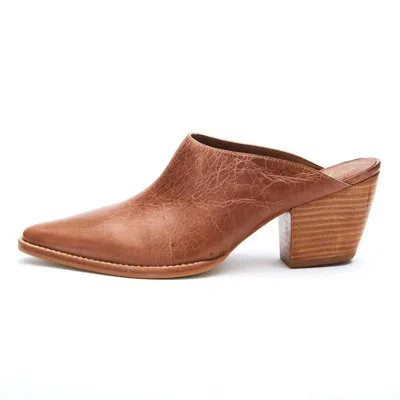 Matisse Cammy Pointed Mule In Brown