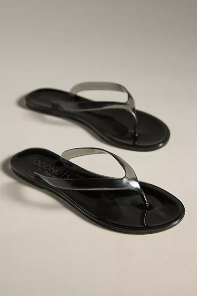 Matisse Coconuts By  Jelly Thong Sandals In Black