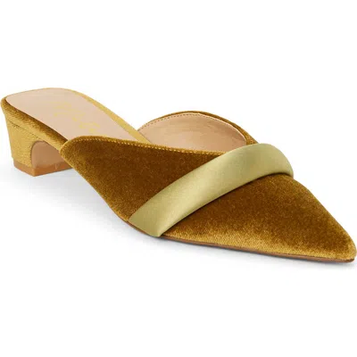 Matisse Kellan Pointed Toe Mule