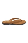 Matisse Leo Thong Sandals In Brown