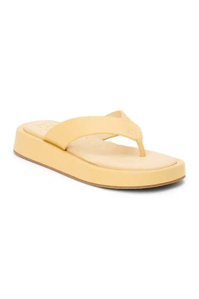 Matisse Mallorca Thong Sandal In Yellow