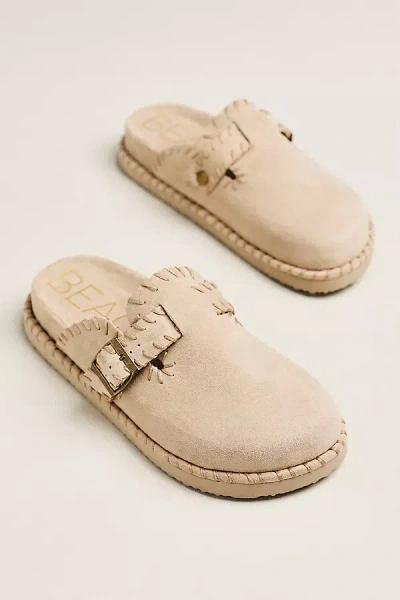 Matisse Mattise Percy Clogs In Brown