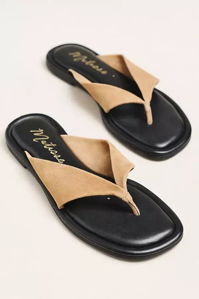 Matisse Mirage Thong Sandals In Animal Print