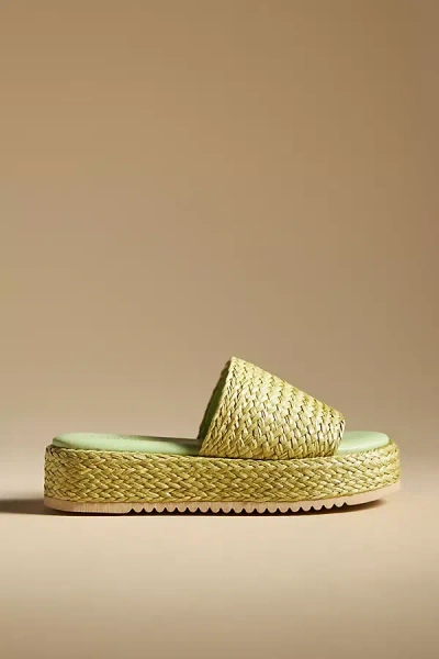 Matisse Montego Platform Slides In Green