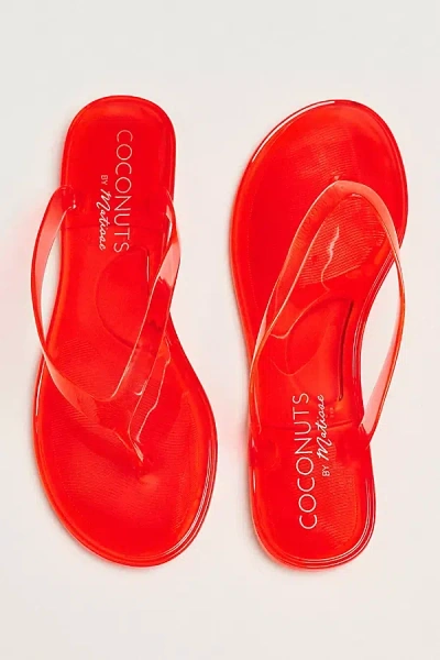 Matisse Olsen Jelly Thong Sandals In Red