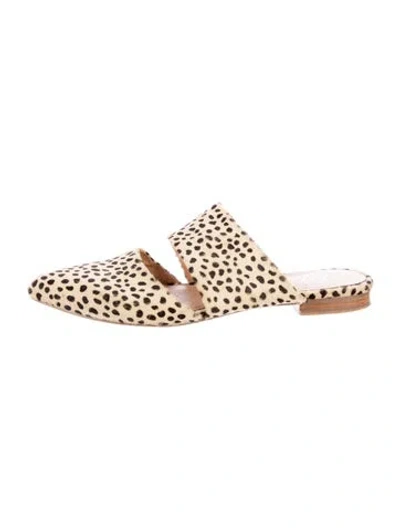 Pre-owned Matisse Ponyhair Animal Print Mules In Neutral