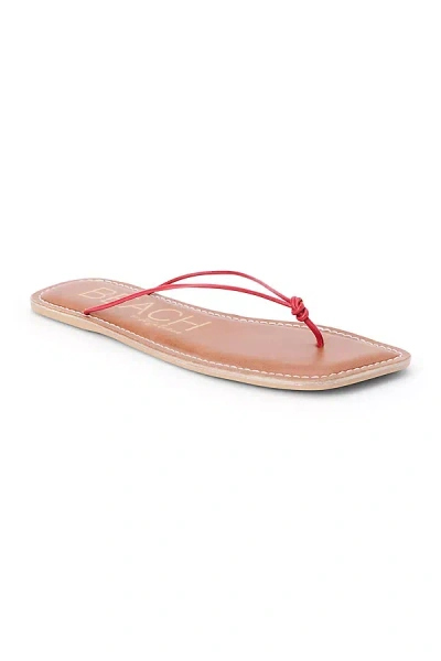 Matisse Ray Thong Sandals In Animal Print