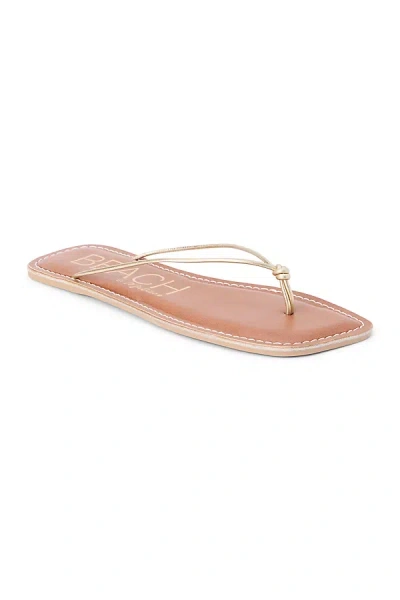 Matisse Ray Thong Sandals In Gold