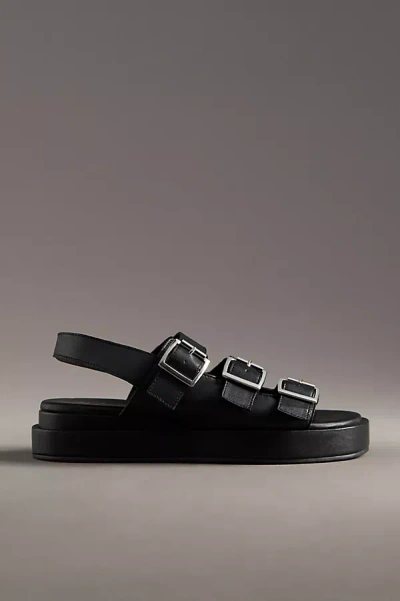 Matisse Roxbury Slingback Sandals In Black