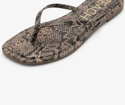 Matisse Women's Bungalow Square Toe Flip Flops In Brown Multi Snake In Animal Print