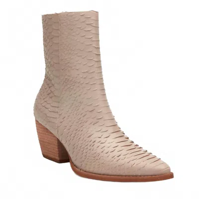 Matisse Women's Caty Ankle Boot In Ivory Snake In Multi