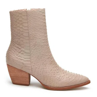 Matisse Women's Caty Bootie In Snake