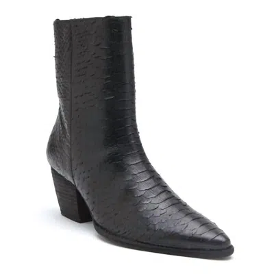 Matisse Women's Caty Snake Leather Boot In Black
