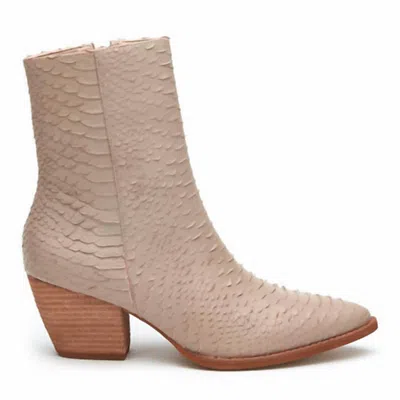 Matisse Women's Caty Snakeskin Ankle Boots In Ivory In Multi