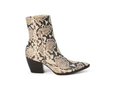Matisse Women's Caty Zip Ankle Boots In Neutral Snake