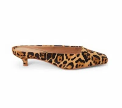Matisse Women's Classy Heeled Mule In Leopard