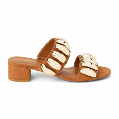 Matisse Women's Dome Sandal In Fawn In Brown