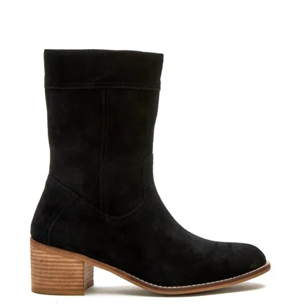 Matisse Women's Drew Ankle Bootie In Black