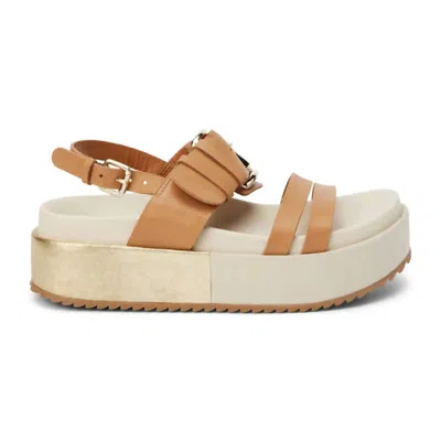 Matisse Women's Greta Platform Sandal In Brown