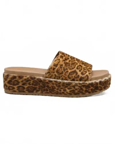 Matisse Women's Hide Away Sandal In Leopard In Brown