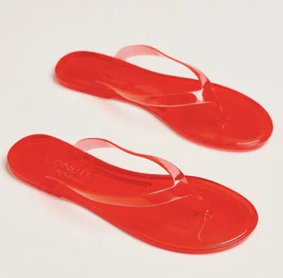 Matisse Women's Olsen Flip Flop Sandal In Cherry Red In Animal Print