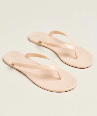 Matisse Women's Olsen Flip Flop Sandal In Neutral