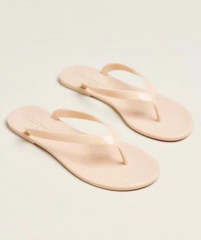 Matisse Women's Olsen Flip Flop Sandals In Neutral In Beige