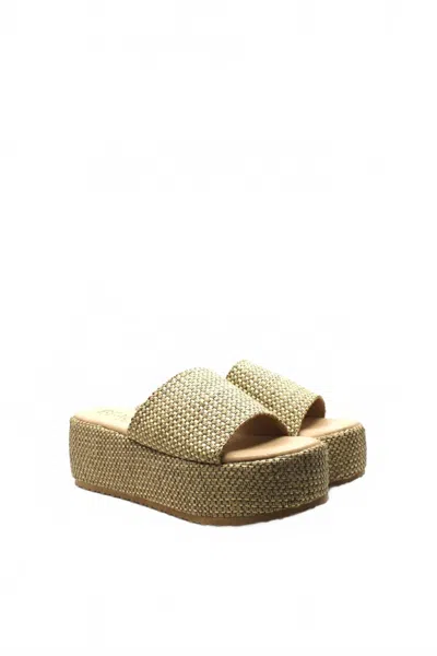 Matisse Women's Pismo Sandal In Tan Multi In Gold