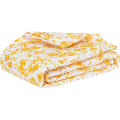 Matouk Alexandra 500 Thread Count Egyptian Cotton Percale Quilt