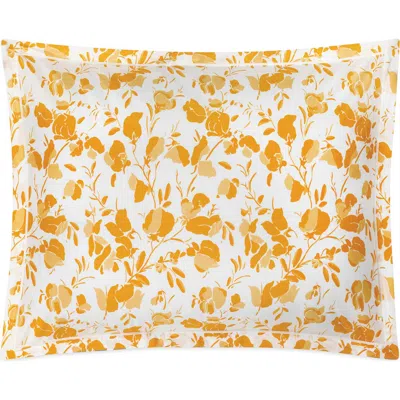 Matouk Alexandra 500 Thread Count Egyptian Cotton Percale Sham