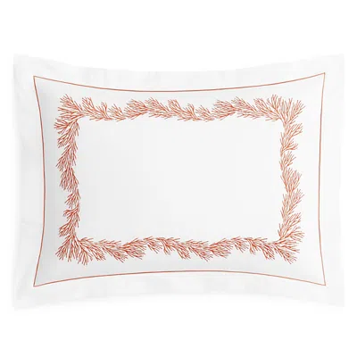 Matouk Atoll Standard Sham In White