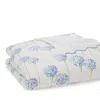 Matouk Charlotte Duvet Cover, Full-queen In Azure