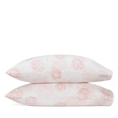 Matouk Chrysanthemum King Pillowcase, Pair In Pink