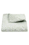 Matouk Cora Matelassé Coverlet In Green