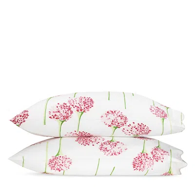 Matouk Lulu Dk For  Charlotte King Pillowcase, Pair In White