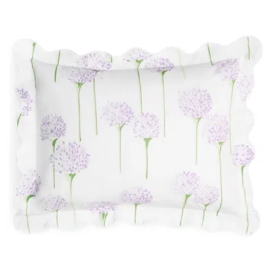 MATOUK LULU DK FOR MATOUK CHARLOTTE KING SHAM,LU26KSHALV