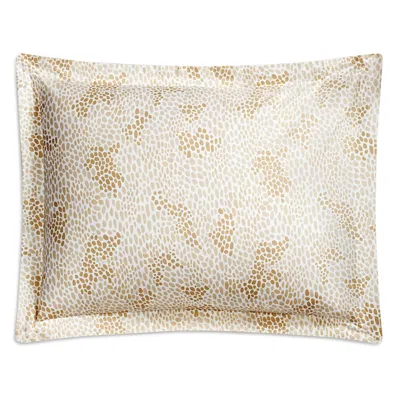 Matouk Lulu Dk For  Nikita Boudoir Sham In Champagne