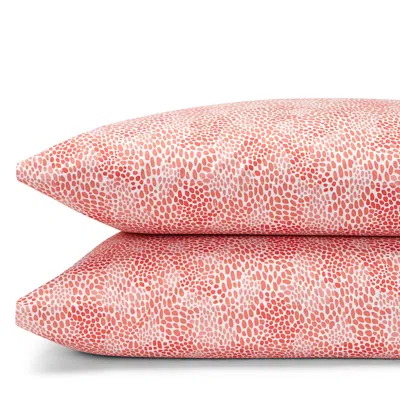 Matouk Lulu Dk For  Nikita King Pillowcase, Pair In Coral