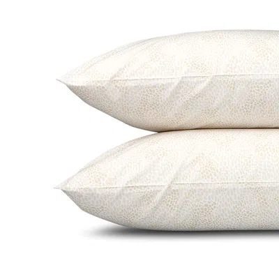 Matouk Lulu Dk For  Nikita Standard Pillowcase, Pair In Champagne
