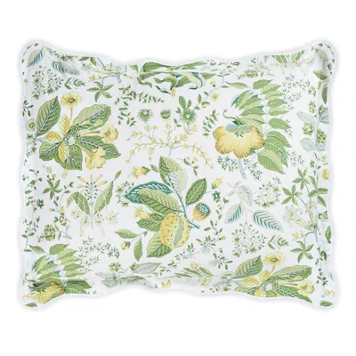 Matouk Schumacher Pomegranate Standard Sham In Citrus