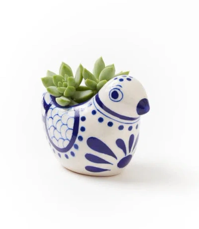 Matr Boomie Lalita Bird Succulent Planter In White