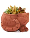 Matr Boomie Rakshana Cat Plant Pot In Brown