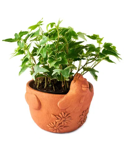 Matr Boomie Rakshana Chicken Plant Pot In Orange