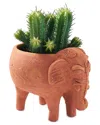 Matr Boomie Rakshana Elephant Plant Pot