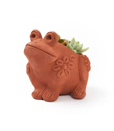 Matr Boomie Rakshana Frog Plant Pot In Multi