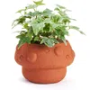 Matr Boomie Rakshana Mushroom Plant Pot In Multi